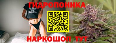 гидропоника Рузаевка