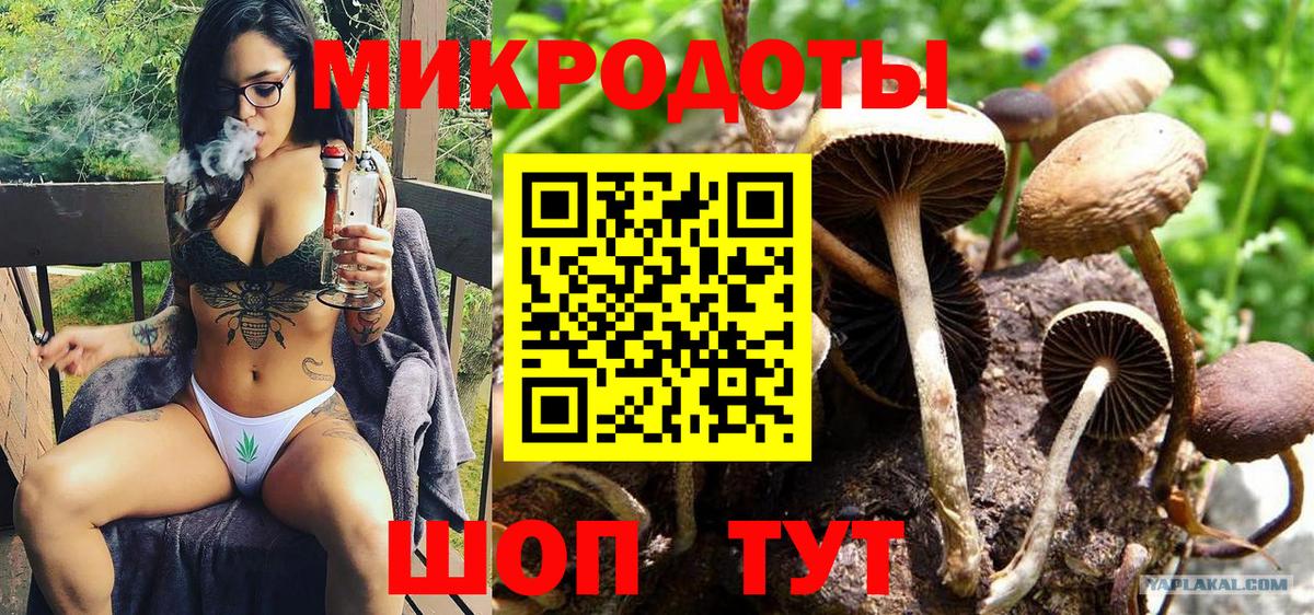 Галлюциногенные грибы ЛСД Нягань